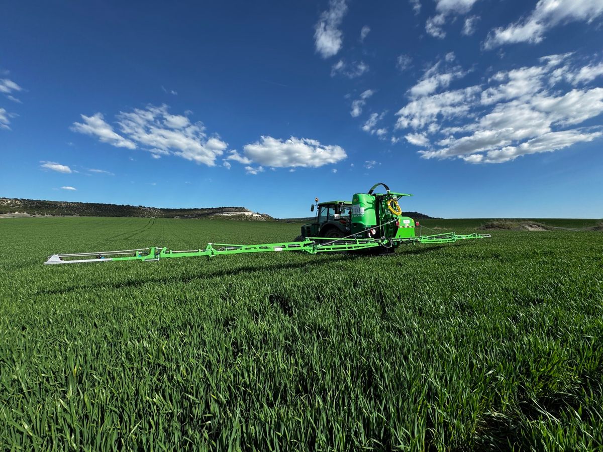 Solano Horizonte New Elegant