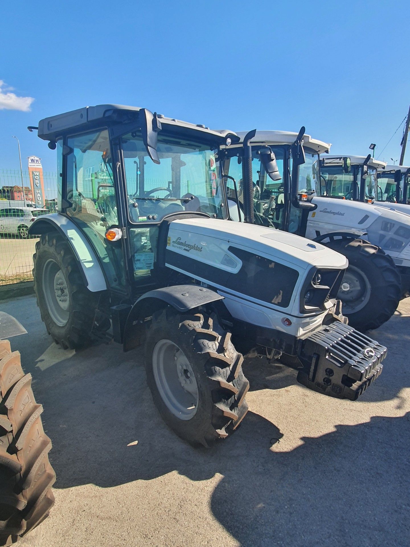 Lamborghini Trend 80